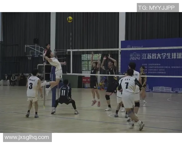 南京排球队以67分领跑奥运会积分榜展现强大实力和团队精神